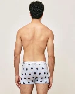 Boxer motifs oursons