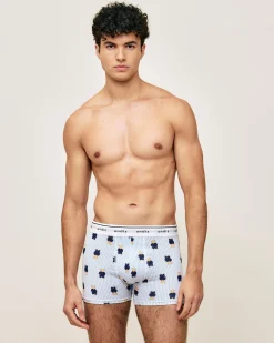 Boxer motifs oursons