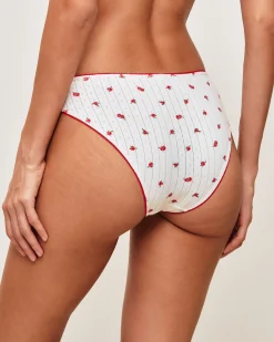 Lot de 3 culottes en coton